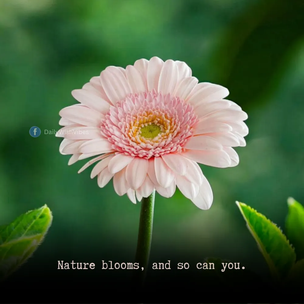 spring season quotes 40 Spring Season Quotes