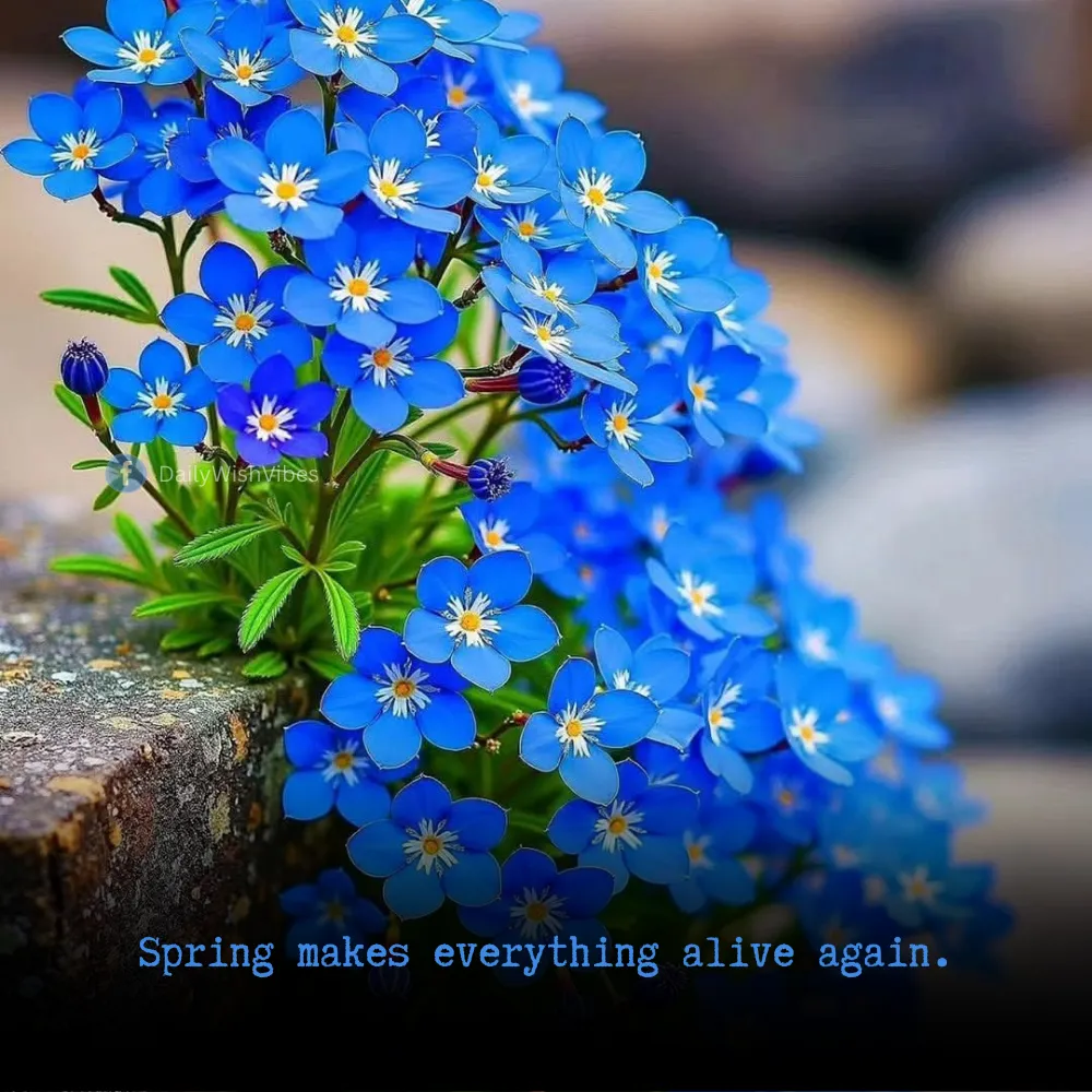 spring season quotes 41 Spring Season Quotes