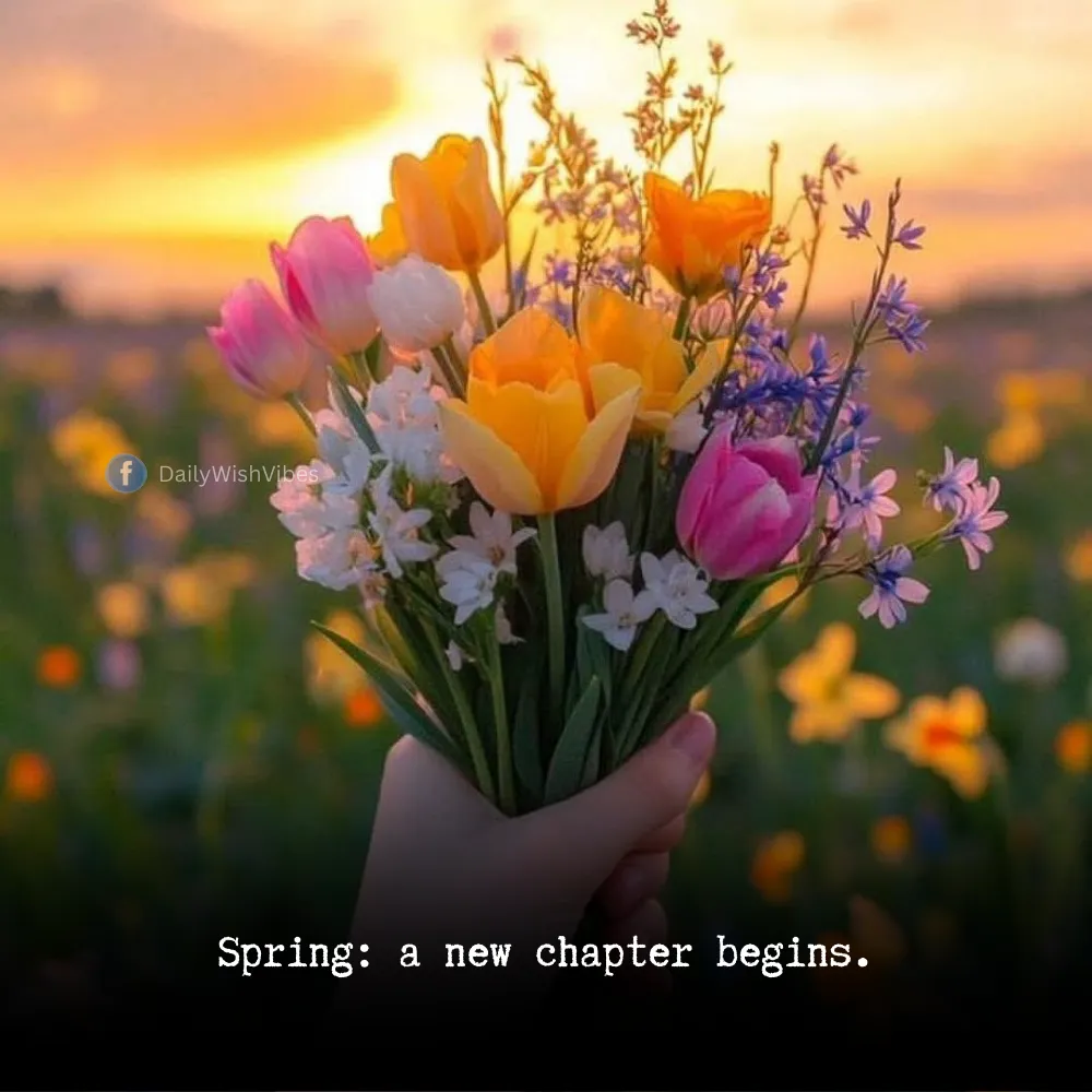 spring season quotes 45 Spring Season Quotes