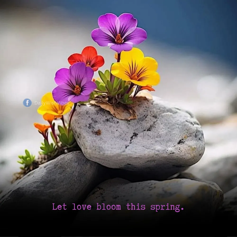 spring season quotes 46 Spring Season Quotes