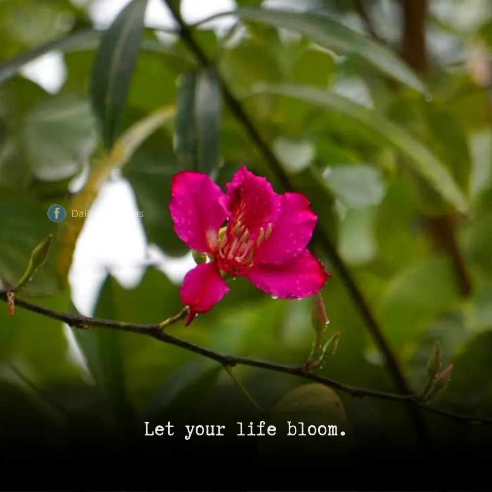 spring season quotes 5 Spring Season Quotes