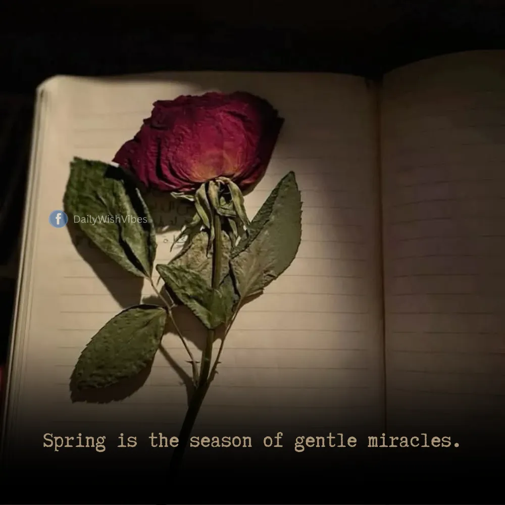 spring season quotes 50 Spring Season Quotes