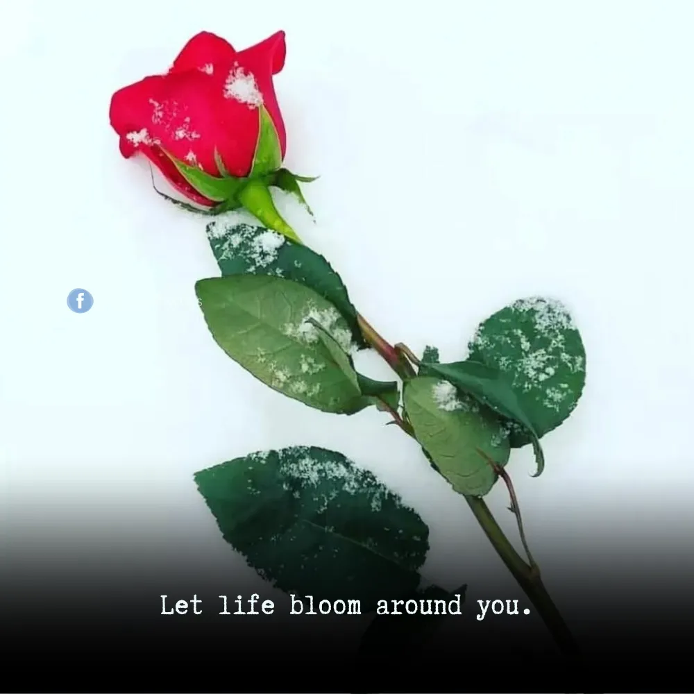 spring season quotes 51 Spring Season Quotes