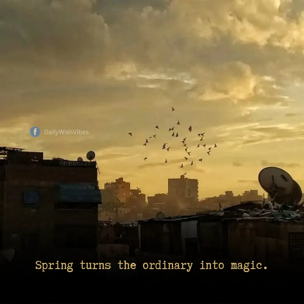 spring season quotes 53 Spring Season Quotes