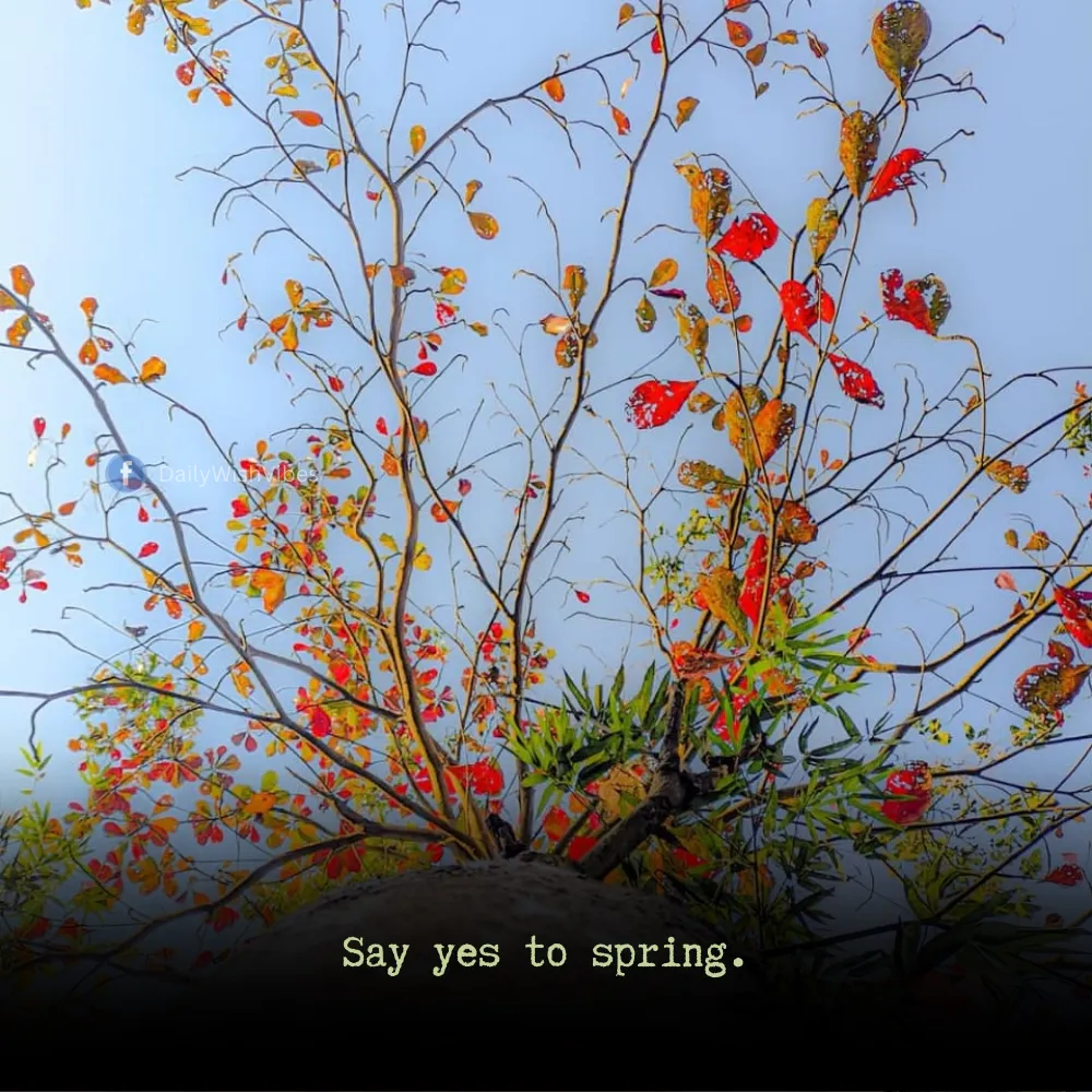 spring season quotes 57 Spring Season Quotes