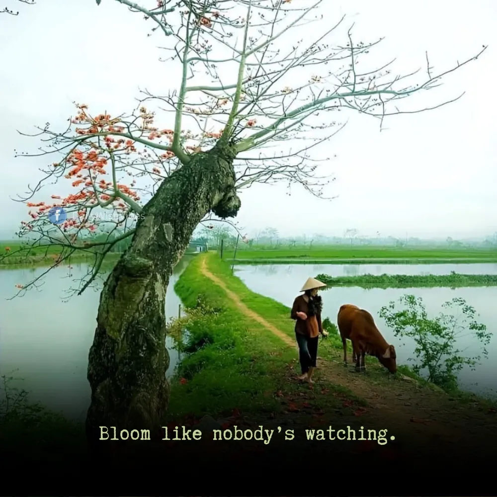 spring season quotes 58 Spring Season Quotes