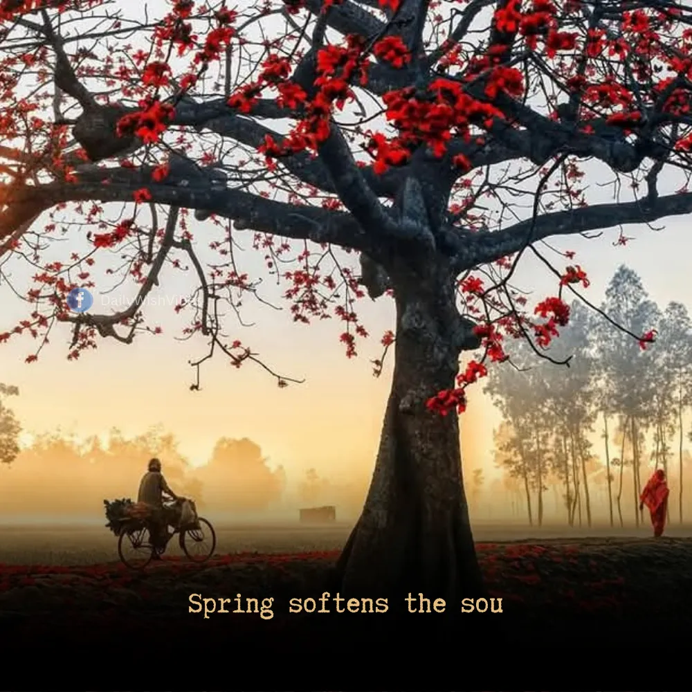 spring season quotes 59 Spring Season Quotes