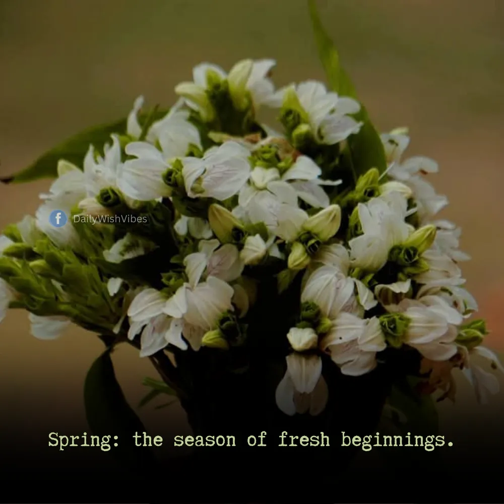 spring season quotes 6 Spring Season Quotes