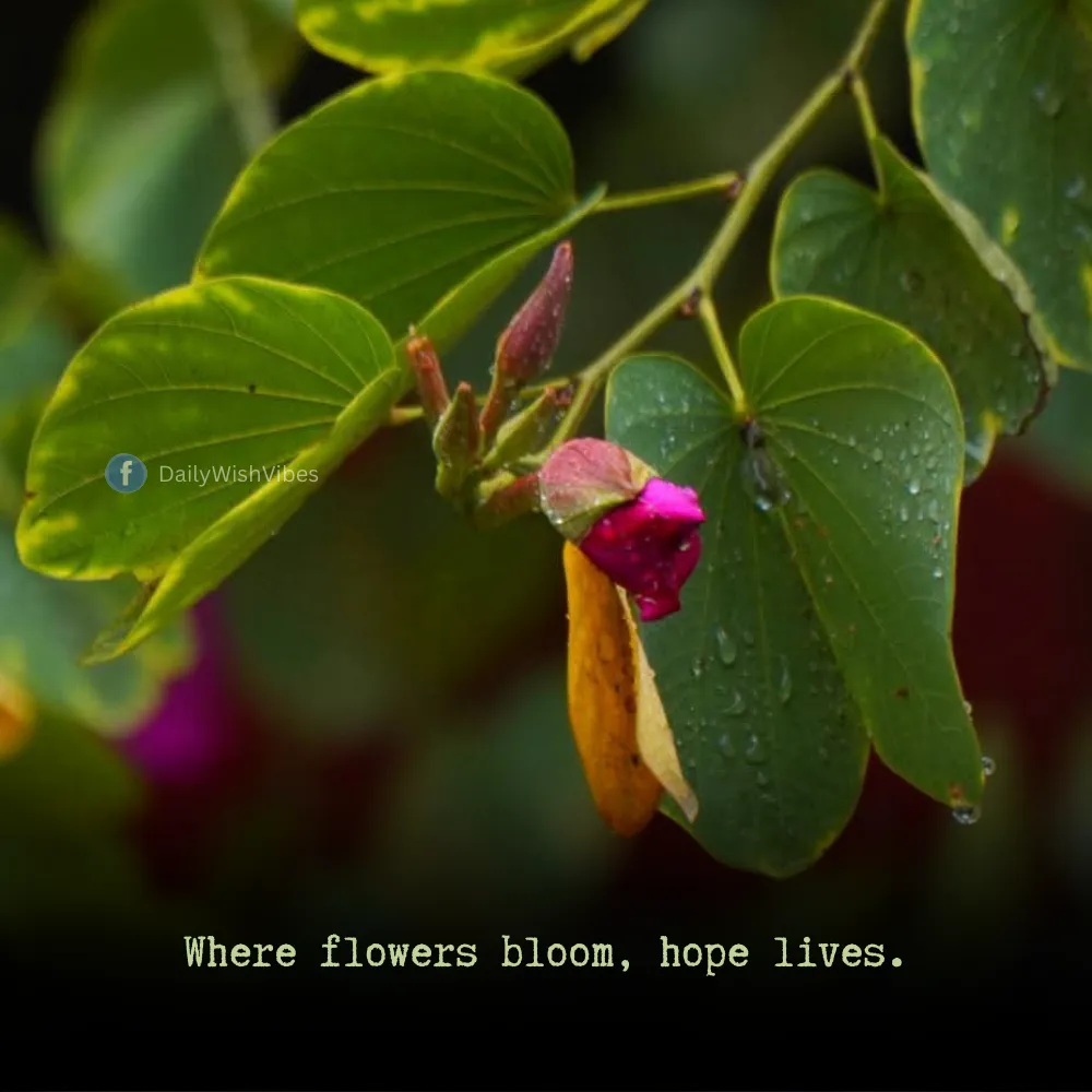 spring season quotes 61 Spring Season Quotes