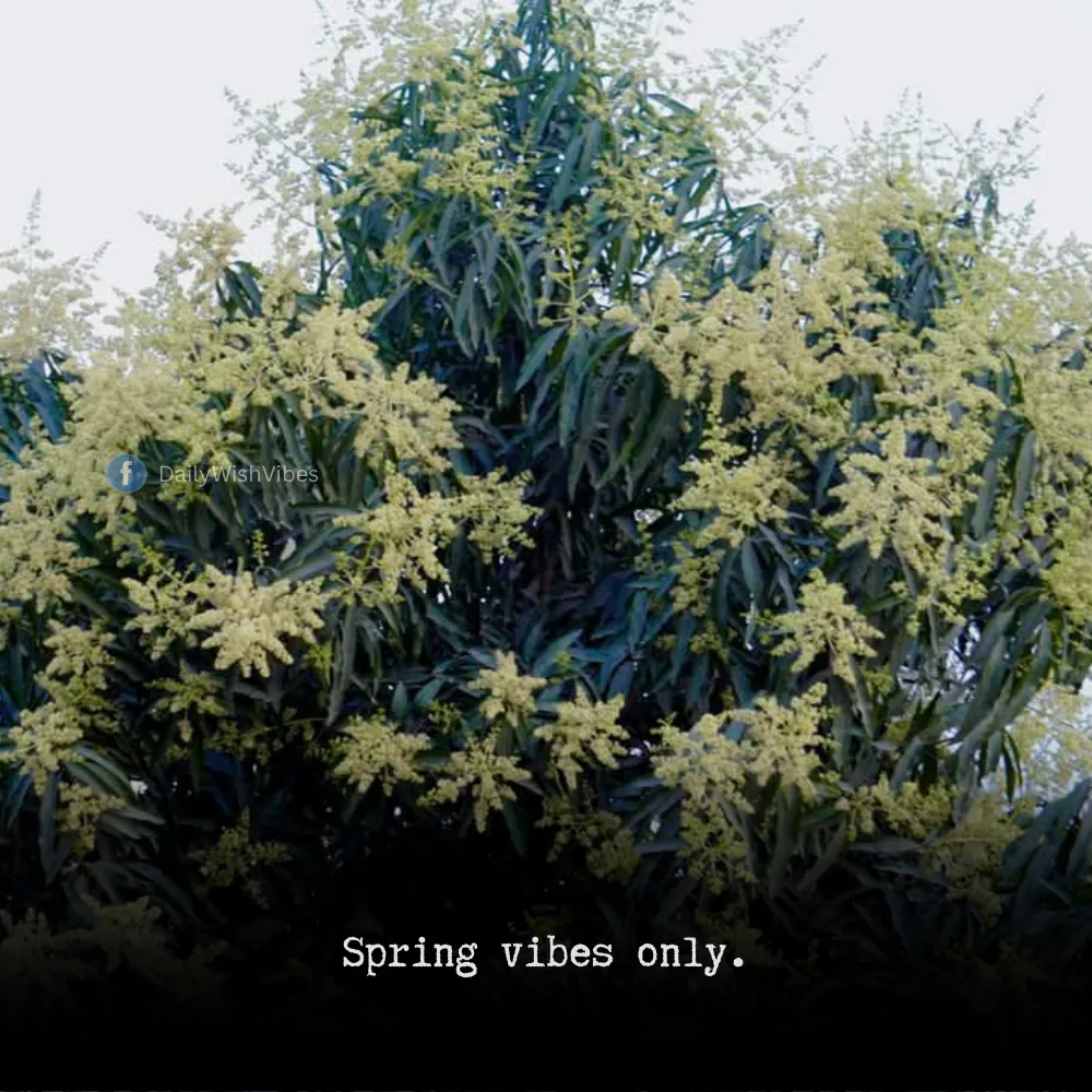 spring season quotes 8 Spring Season Quotes